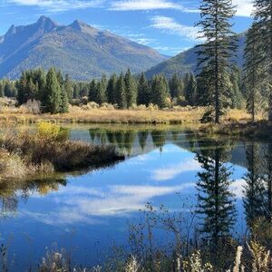 Meet your Posher, Laurie